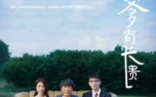 短剧《我的丑爹肖长贵（96集全）》免费观看