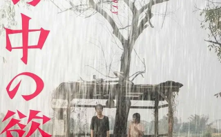 雨中的情欲 (2024)高清蓝光4k免费在线观看