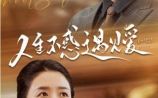短剧《人生不惑遇见爱（中年闪婚老伴竟是全国首富）80集全》免费观看