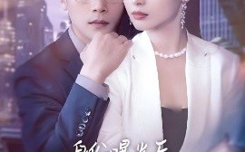 短剧《身份曝光后女秘书哭了（31集）刘雪君&张家川 (2025)》全集免费在线观看