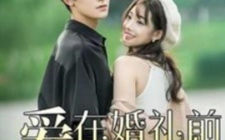 短剧《爱在婚礼前降落（50集全）》免费观看