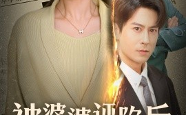 短剧《被婆婆诬陷后，我杀疯了 (2024)》全集免费在线观看