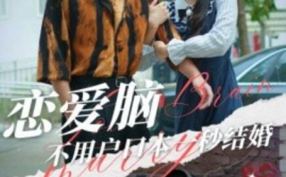 短剧《恋爱脑不用户口本一秒结婚（30集全）》免费在线观看