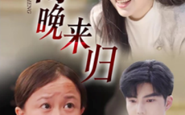 短剧《风雨晚来归（36集）李逸晨 (2025)》全集免费在线观看