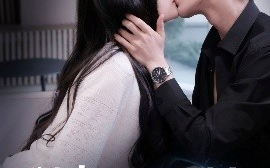 短剧《训光于笼（82集）王蔼玲&刘兰博 (2025)》全集免费在线观看