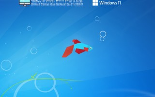 电脑公司Win11 64位专业版V2021.12(集成intel vmd 12代cpu驱动)