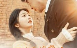 短剧《闪婚后偏宠我的小祖宗 (2025)》全集免费在线观看