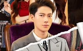短剧《送错外卖，顶流天后非我不嫁（80集）张子安&苏文文 (2025)》全集免费在线观看