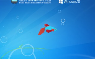 电脑公司Win10 21H2正式版_64位专业版 V2021.11(集成12代cpu驱动)