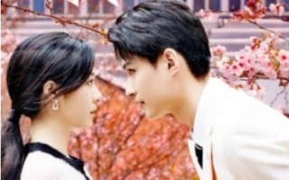 短剧《当我遇上你（100集全）》免费观看