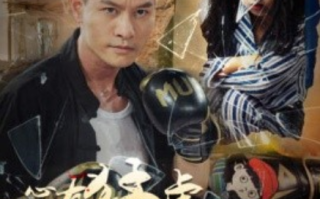 短剧《心有猛虎细嗅蔷薇（65集全）》免费观看