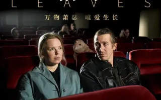 枯叶 Fallen Leaves (2023)高清蓝光4k免费在线观看
