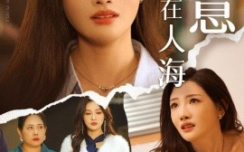 短剧《爱意消失在人海 (2025)》全集免费在线观看