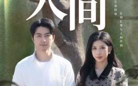 短剧《再见人间（30集）吴昊＆林琦婷 (2025)》全集免费在线观看