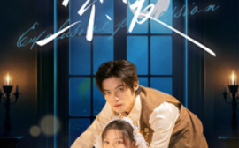 短剧《索爱 (2025)》全集免费在线观看