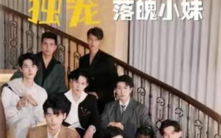 短剧《七个大佬哥哥独宠落魄小妹（96集全）》免费观看