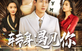 短剧《转身遇见你 (2025)》全集免费在线观看