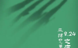 麻辣兄弟之疯狂一夜 (2024)高清蓝光4k免费在线观看