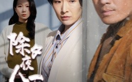 短剧《除夕夜人不归 (2025)》全集免费在线观看