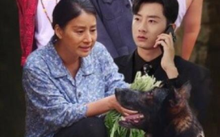 短剧《望子归来（50集全）》免费在线观看