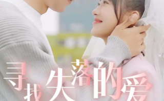 短剧《寻找失落的爱（79集全）》免费观看