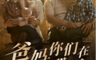 短剧《爸妈你们在哪里（81集全）》免费观看