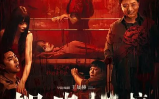 鸳鸯楼·惊魂 (2024)高清蓝光4k免费在线观看