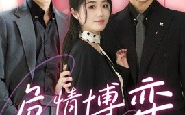 短剧《危情博弈（69集）常高明&墨凝＆张翅 (2025)》全集免费在线观看
