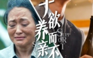 短剧《子欲养而亲不待（42集全）》免费观看
