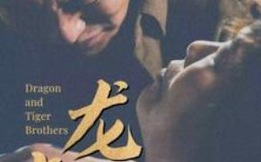 短剧《龙虎兄弟（80集全）》免费观看
