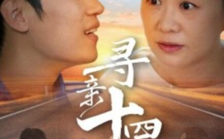 短剧《寻亲十四载（1-50集）》全集免费在线观看