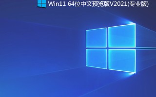 Windows11 64位专业版_win11 64位专业版(官方MSDN原版镜像)
