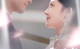 短剧《夫人别虐了傅总红着眼跪求原谅 (2024)》全集免费在线观看