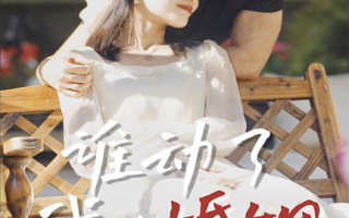 短剧《谁动了我的婚姻（24集全）》免费观看