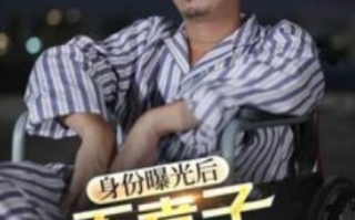 短剧《身份曝光后，不孝子痛哭流涕（66集全）》免费观看