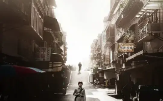 老狐狸 (2023)高清蓝光4k免费在线观看