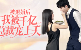 短剧《被退婚后我被千亿总裁宠上天（100集全）》免费观看