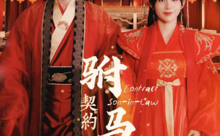短剧《契约驸马爷（74集全）》免费观看