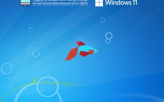 电脑公司Win11专业版下载_Win11 64位最新正式版下载V2021.11