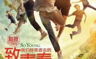 致我们终将逝去的青春 (2013)高清蓝光4k免费在线观看