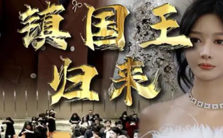短剧《镇国王归来（95集全）》免费在线观看