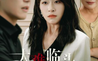 短剧《大难临头各自飞（1-53集）》全集免费在线观看