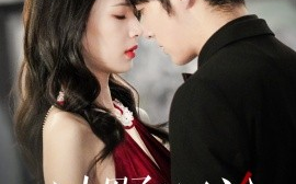 短剧《过野沉沦 (2024)》全集免费在线观看