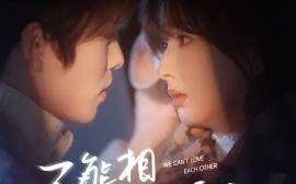 短剧《不能相爱的我们 (2025)》全集免费在线观看