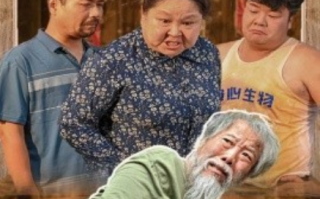 短剧《一滴血的距离（26集全）》免费观看