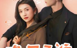 短剧《晚风入淮（79集）卢鹿鹿&希尔力 (2025)》全集免费在线观看