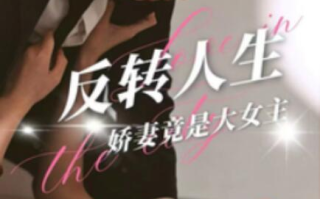 短剧《反转人生娇妻竟是大女主（40集全）》免费在线观看
