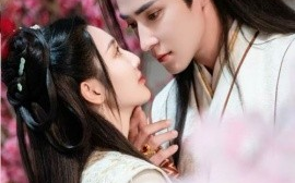 短剧《夫人在上将军知错了 (2024)》全集免费在线观看