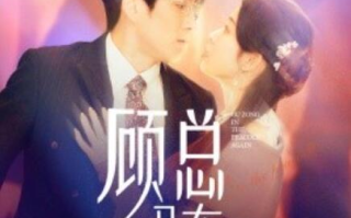 短剧《顾总又在孔雀开屏（1-98集）》全集免费在线观看