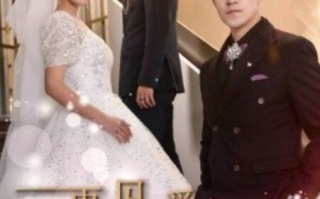 短剧《再见爱人之作死前妻后悔了（1-30集）》全集免费在线观看